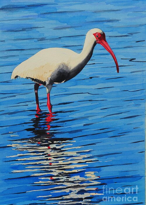 Ibis Greeting Card featuring the painting Ibis by John W Walker