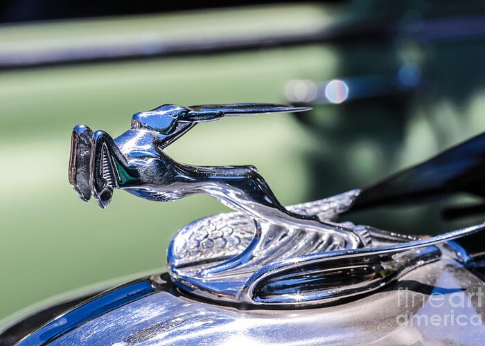 Hood Ornament Greeting Card featuring the photograph Impala Hood Ornament by Vivian Krug Cotton