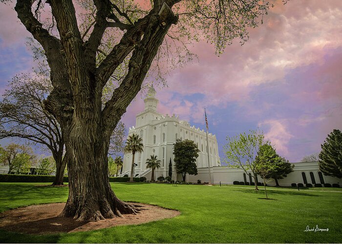St George Temple Greeting Card featuring the photograph In Harmony by David Simpson
