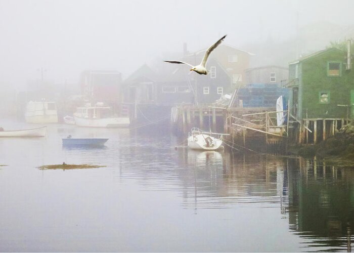 Seagull Greeting Card featuring the photograph In the Fog by Tatiana Travelways