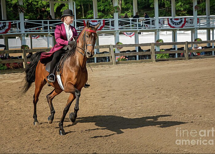 American Greeting Card featuring the photograph In The Practice Ring by Amy Dundon