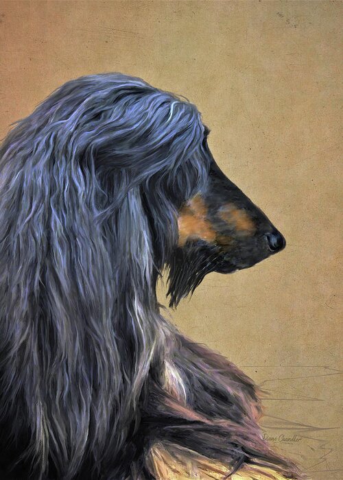 Afghan Hound Greeting Card featuring the digital art India by Diane Chandler