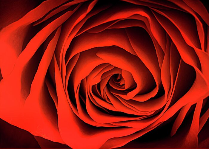 Rose Greeting Card featuring the photograph Inner Beauty by Don Schwartz