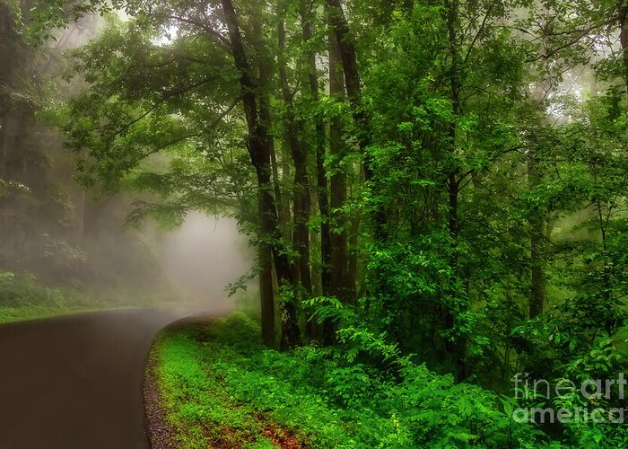 Blue Ridge Greeting Card featuring the photograph Into the Fog and Mists by Shelia Hunt