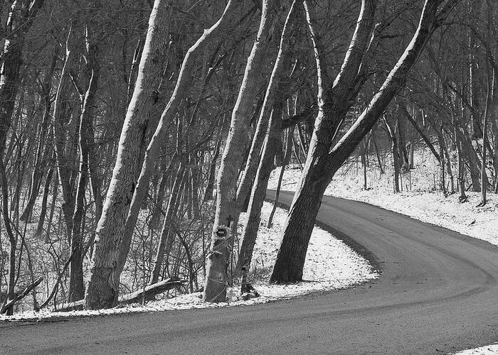 Kansas Greeting Card featuring the photograph Into the Snowy Woods by Rod Seel