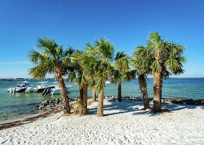 Island Greeting Card featuring the photograph Island Palm Trees and Boats, Pensacola Beach, Florida by Beachtown Views