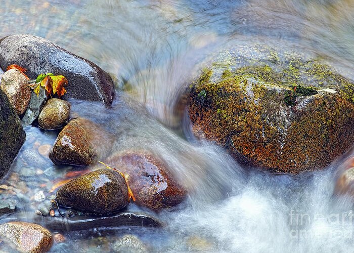 Rocks In Stream Greeting Card featuring the photograph Islands in a Stream by Sharon Talson