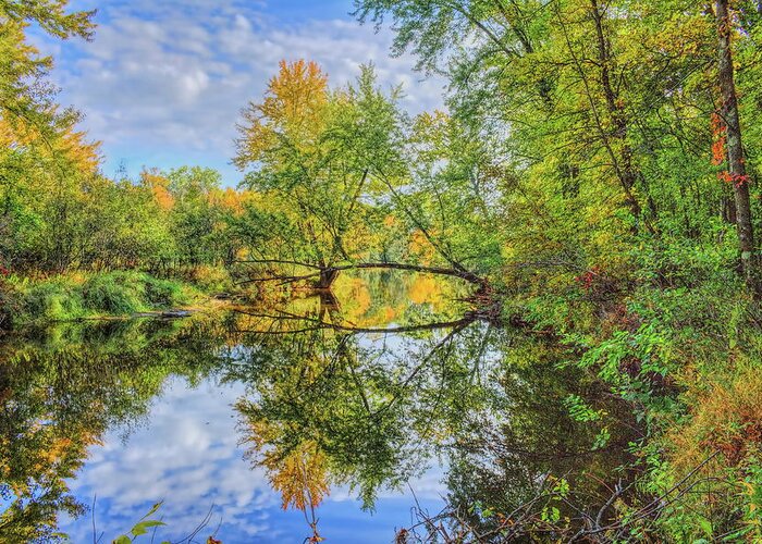 Wausau Greeting Card featuring the photograph Isle Of Ferns Park Fall Reflection by Dale Kauzlaric