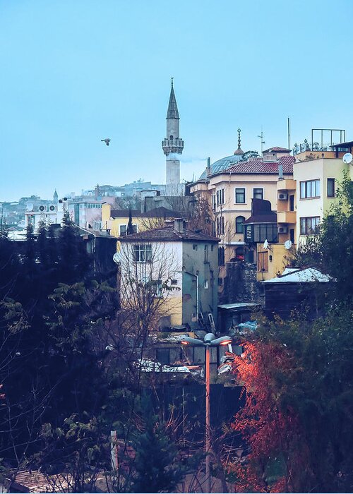 Istanbul Greeting Card featuring the photograph Istanbul by Nisah Cheatham