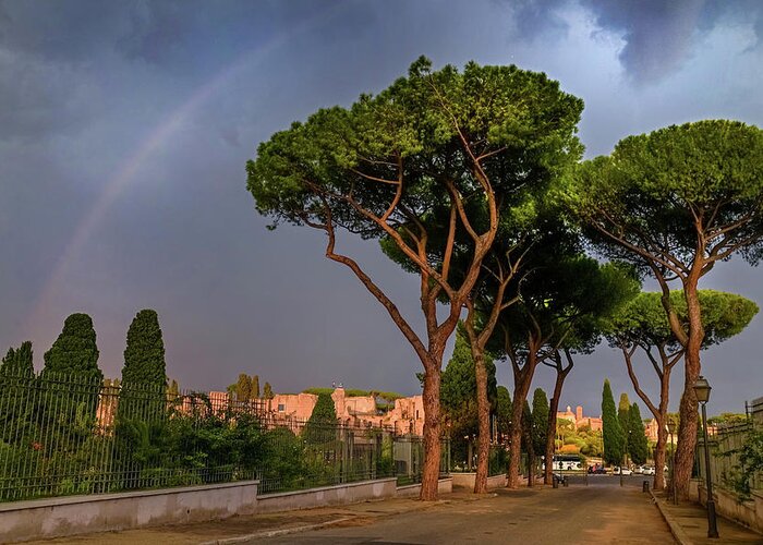  Greeting Card featuring the photograph Italian Vacations - Rome Historic Center - Pine Trees and Rainbow 1 by Jenny Rainbow
