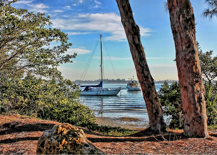 Anna Maria Island Fl Greeting Card featuring the photograph It's A Beautiful Morning by HH Photography of Florida