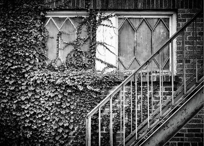  Greeting Card featuring the photograph Ivy, Window And Stairs by Steve Stanger