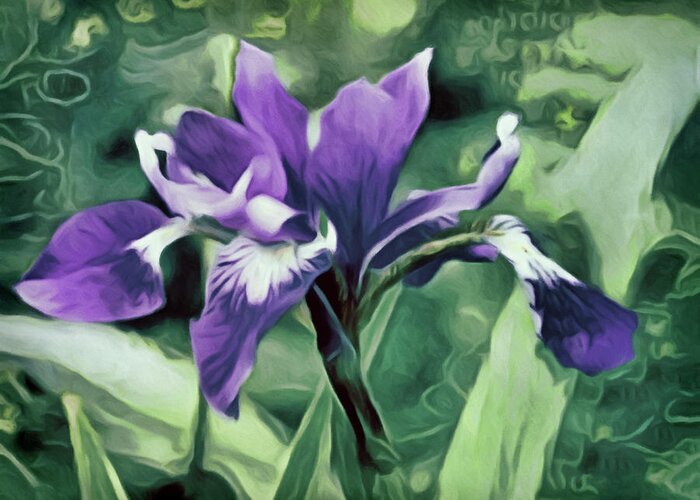 Dutch Iris Greeting Card featuring the pastel Jardin du Viole - Garden of Purple by Susan Maxwell Schmidt