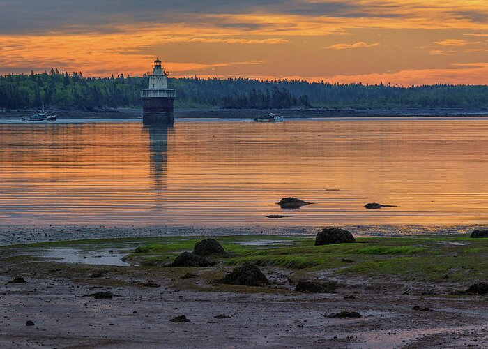 Maine Greeting Card featuring the photograph June Morning at Lubec Channel Light by Kristen Wilkinson