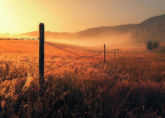 Fog Greeting Card featuring the photograph June Morning by Evgeni Dinev