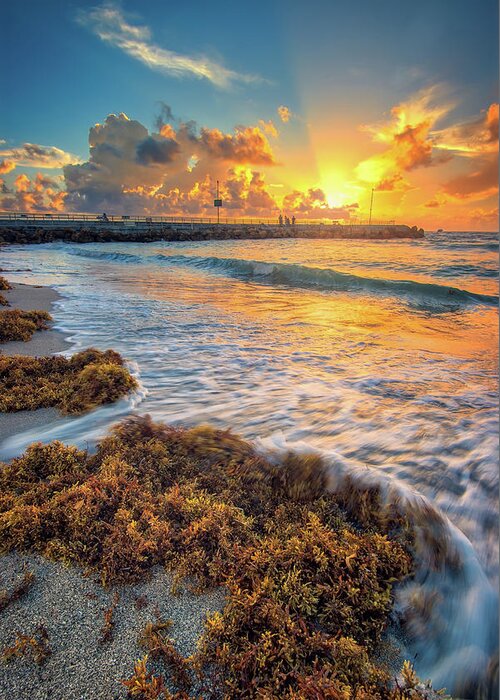 Aurora Hdr Greeting Card featuring the photograph Jupiter Inlet Seaweed Sunrise Over Jetty by Kim Seng