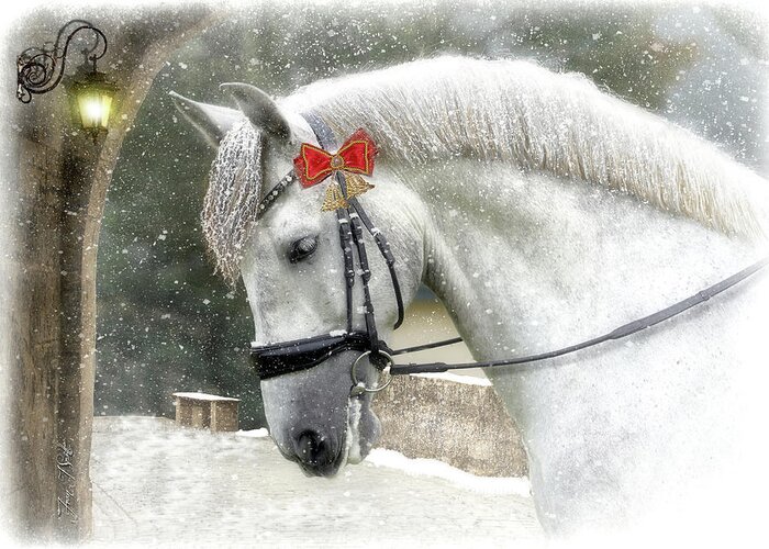 White Horse Greeting Card featuring the mixed media Kaiser Christmas by Fran J Scott