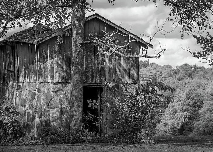 Barns Greeting Card featuring the photograph Kentucky Shed 8976 by Guy Whiteley
