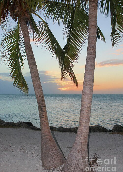 Key West; Florida; Sunset; Palm Trees; Trees; Beach; Sand; Ocean; Sea; Clouds; Water; Waves; Palm Fronds; Vertical; Wood; Greeting Card featuring the photograph Key West Sunset by Tina Uihlein