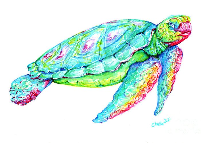 Turtle Greeting Card featuring the painting Key West Turtle 2 Study by Shelly Tschupp