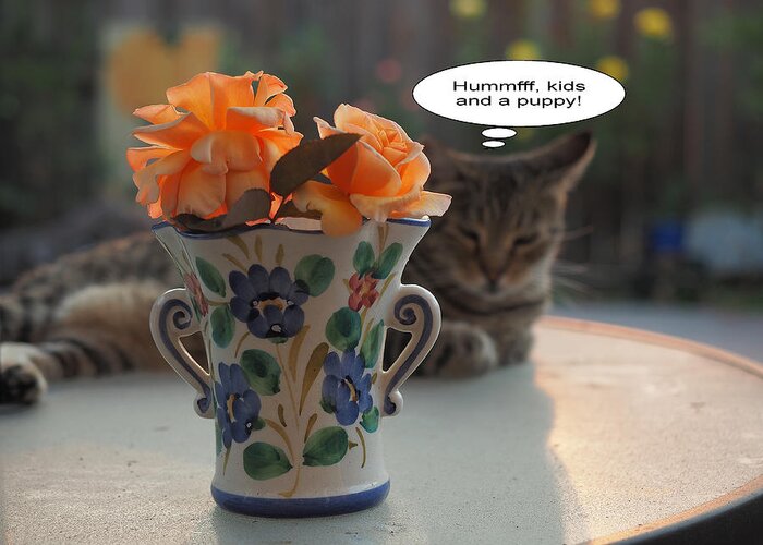 Still Life Greeting Card featuring the photograph Feline Anxiety by Richard Thomas