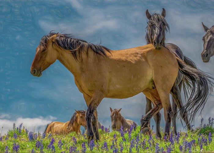 Wild Horses Greeting Card featuring the photograph Kings of the Mountain, Painterly by Marcy Wielfaert