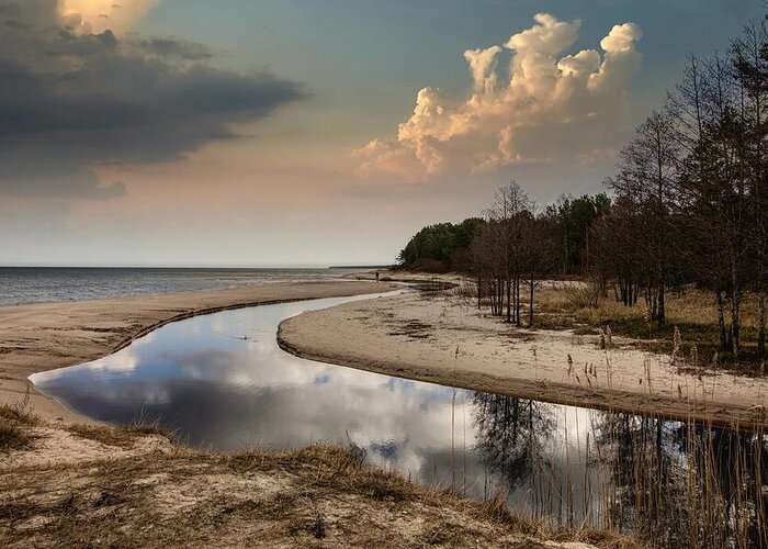 The Longest Beach In Europe Greeting Card featuring the photograph Kurzeme Beach in Latvia by Aleksandrs Drozdovs