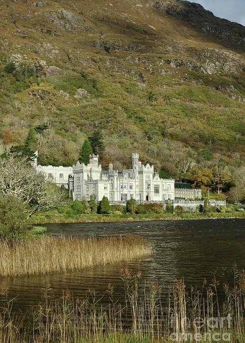Abbey Castle Lake Mountains Benedictine Monastery Connemara Galway Wildatlanticway Ireland Photography Prints Greeting Card featuring the photograph Kylemore Abbey by Peter Skelton