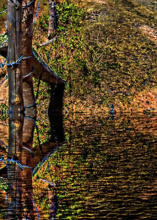 2091 Greeting Card featuring the photograph La Represa Fence Reflection by Al Bourassa