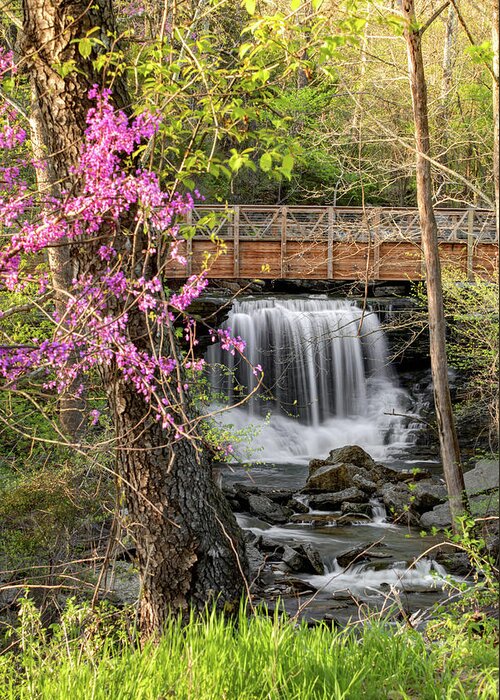 Lake Ann Waterfall Greeting Card featuring the photograph Lake Ann Waterfall in Spring - Bella Vista Arkansas by Gregory Ballos