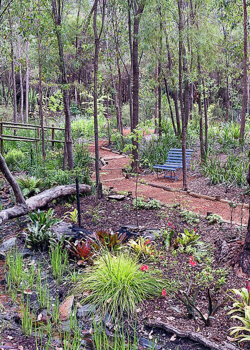 Garden Greeting Card featuring the photograph Lakeside, Pemberton, Western Australia #5 by Elaine Teague