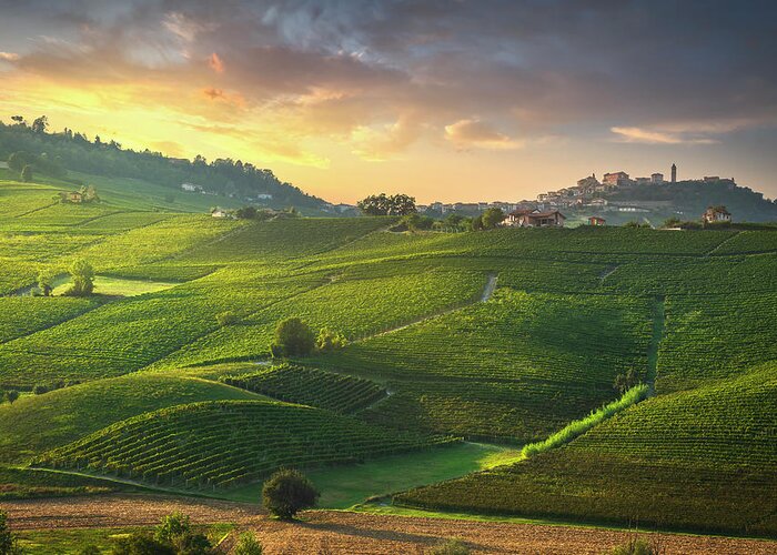 Vineyards Greeting Card featuring the photograph Langhe vineyards, La Morra, Italy by Stefano Orazzini