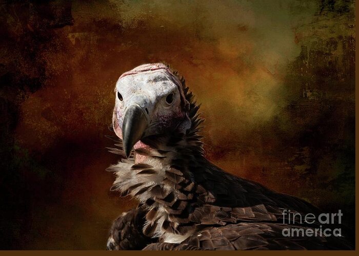 Lappet-faced Vulture Greeting Card featuring the photograph Lappet-Faced Vulture-2 by Eva Lechner