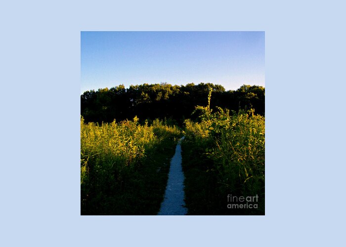 Natutre Greeting Card featuring the photograph Last Light On The Preserve Trail by Frank J Casella