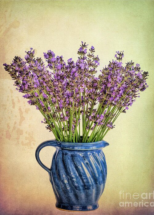 Nag005718 Greeting Card featuring the digital art Lavender in Vase by Edmund Nagele FRPS