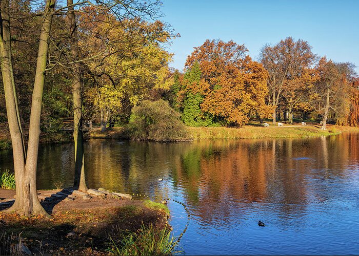 Lazienki Greeting Card featuring the photograph Lazienki Park Autumn Landscape In Warsaw by Artur Bogacki