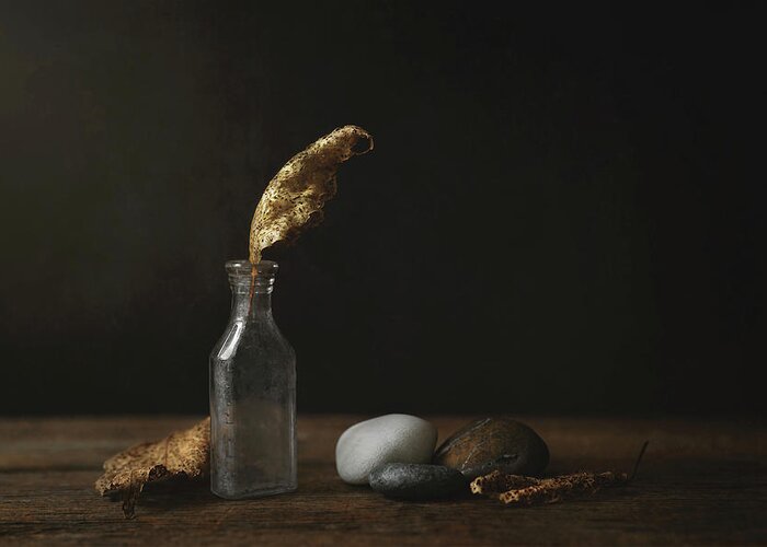Still Life Greeting Card featuring the photograph Leaf Bottle Rocks by Scott Norris