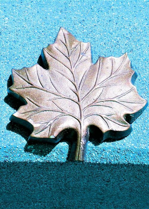 Leaves Greeting Card featuring the photograph Leaf Sculpture by Andrew Lawrence