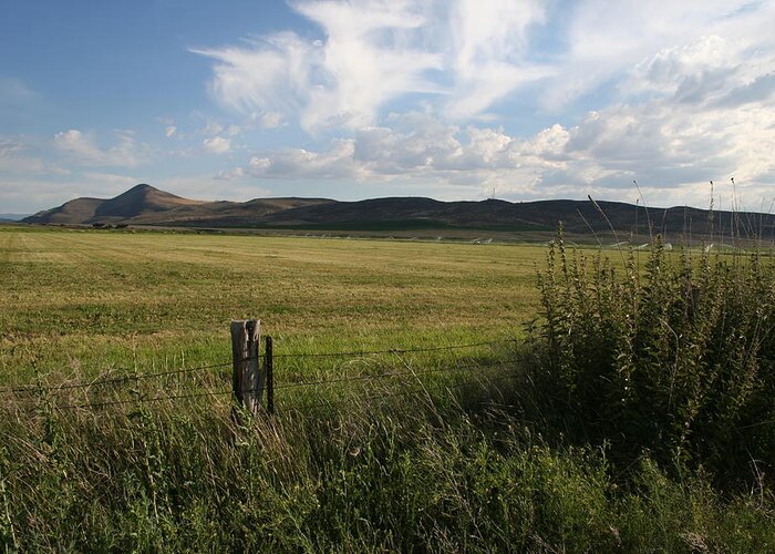 Legacy Grasslands Greeting Card featuring the photograph Legacy Grasslands by Dylan Punke