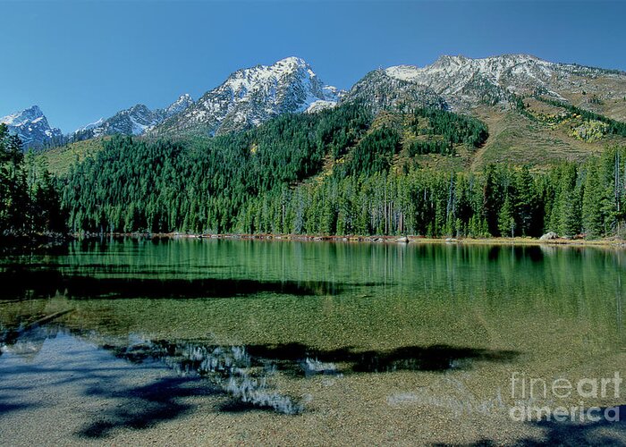 Dave Welling Greeting Card featuring the photograph Leigh Lake Grand Tetons National Park Wyoming by Dave Welling