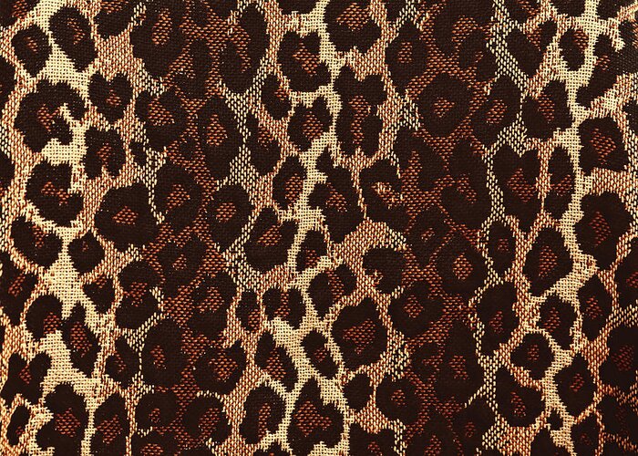 Leopard Print Greeting Card featuring the photograph Leopard Print by Susan Rissi Tregoning
