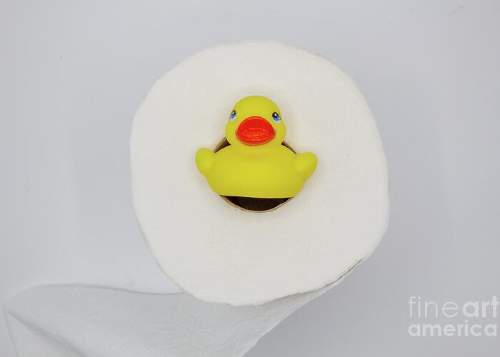 Duckies Greeting Card featuring the photograph Let It Roll by John Hartung