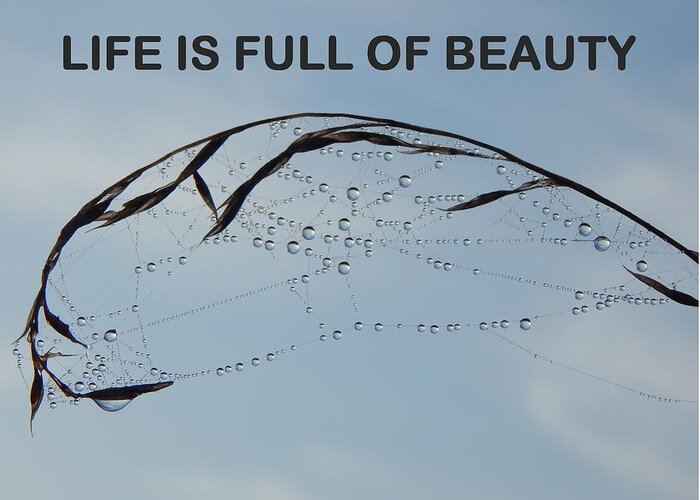 Life Is Full Of Beauty Greeting Card featuring the photograph Life Is Full Of Beauty by Gallery Of Hope