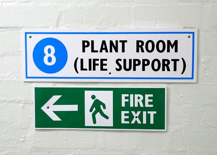 Life Greeting Card featuring the photograph Life Support via Plants by Ian Hutson