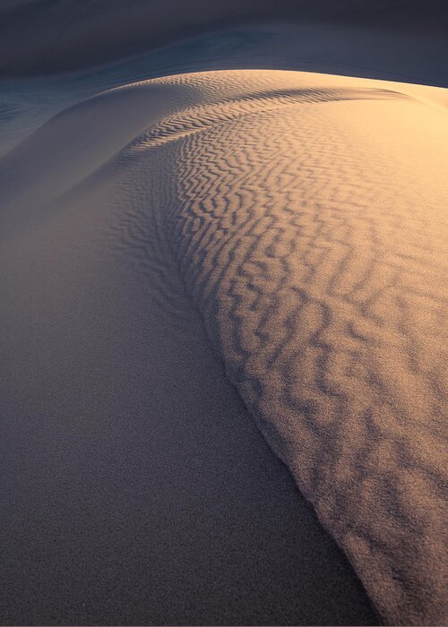 San Dune Greeting Card featuring the photograph Light at Sand Dune by Peter Boehringer