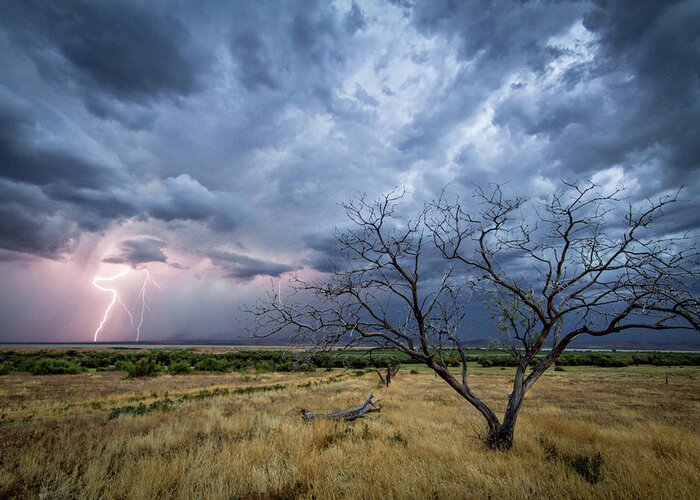 Storm Greeting Card featuring the photograph Lightning Strike with Tree by Wesley Aston