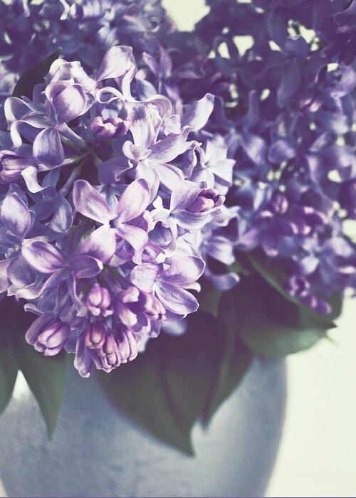 Lilac Flowers Greeting Card featuring the photograph Lilacs in Silver by Lupen Grainne