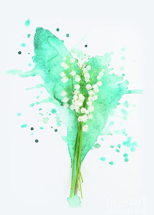 Lilly Of The Valley Greeting Card featuring the photograph Lilly of the valley on watercolor by Anastasy Yarmolovich