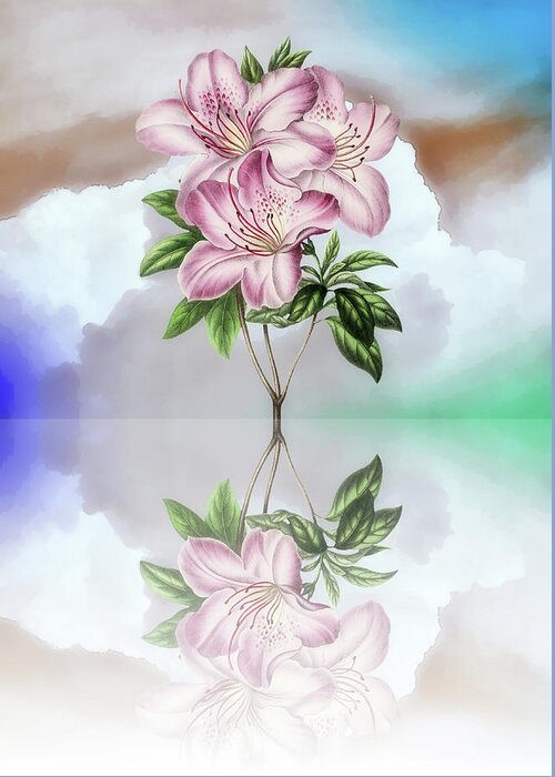 Lily Greeting Card featuring the digital art Lily Flowers and Clouds Reflection by Gaby Ethington