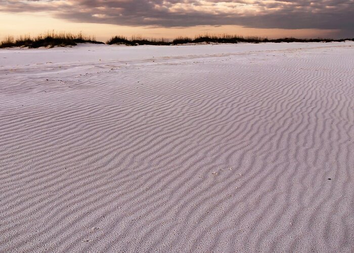 Florida Gulf Of Mexico Greeting Card featuring the photograph Lines In The Sand by Kevin Senter